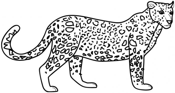 Leopard en pleine course dans la savane