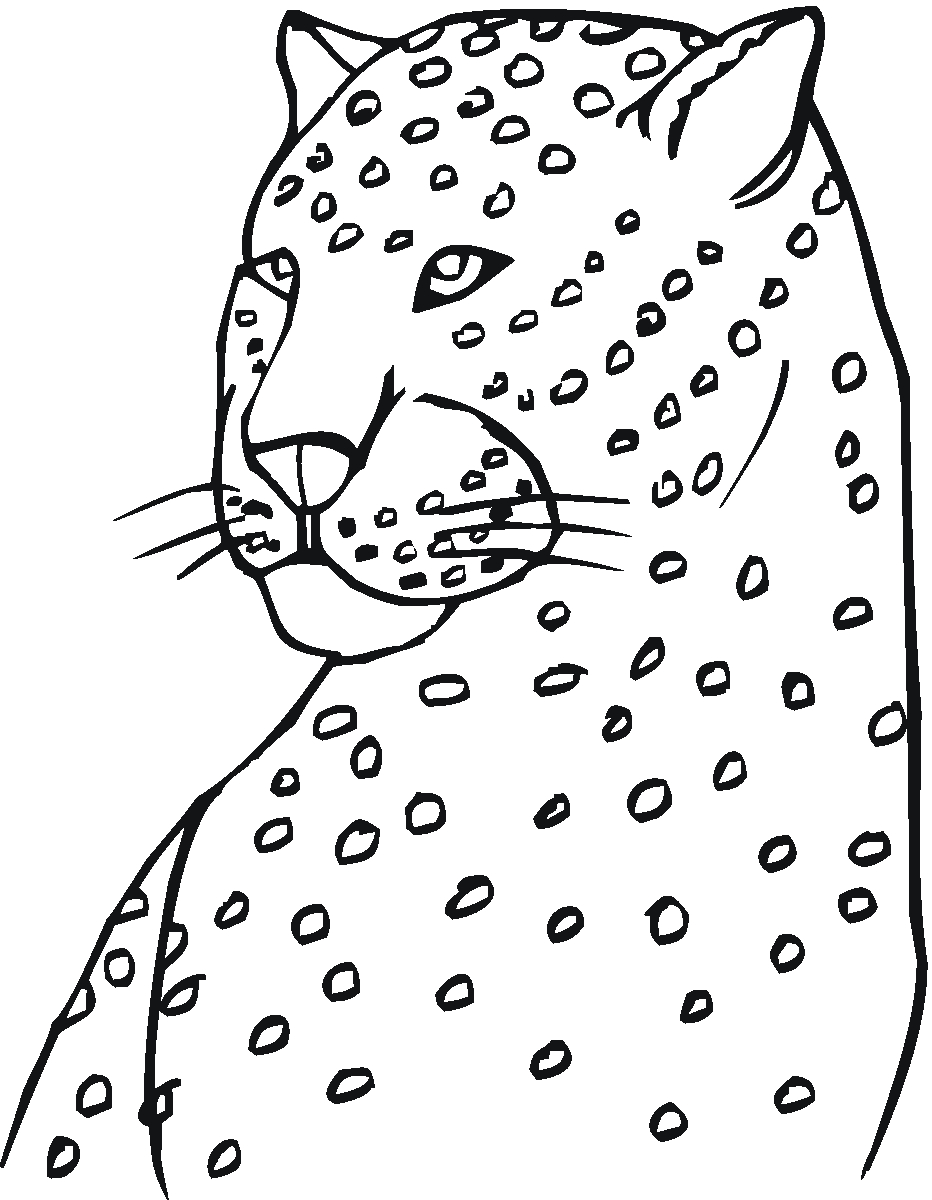 Coloriage d'un léopard majestueux au pelage tacheté dans son habitat naturel