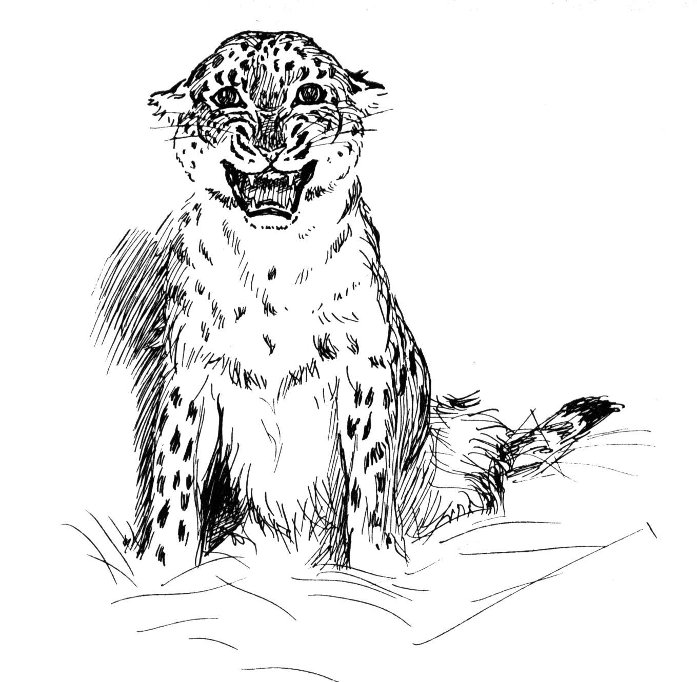 Coloriage d'un léopard dans un environnement naturel