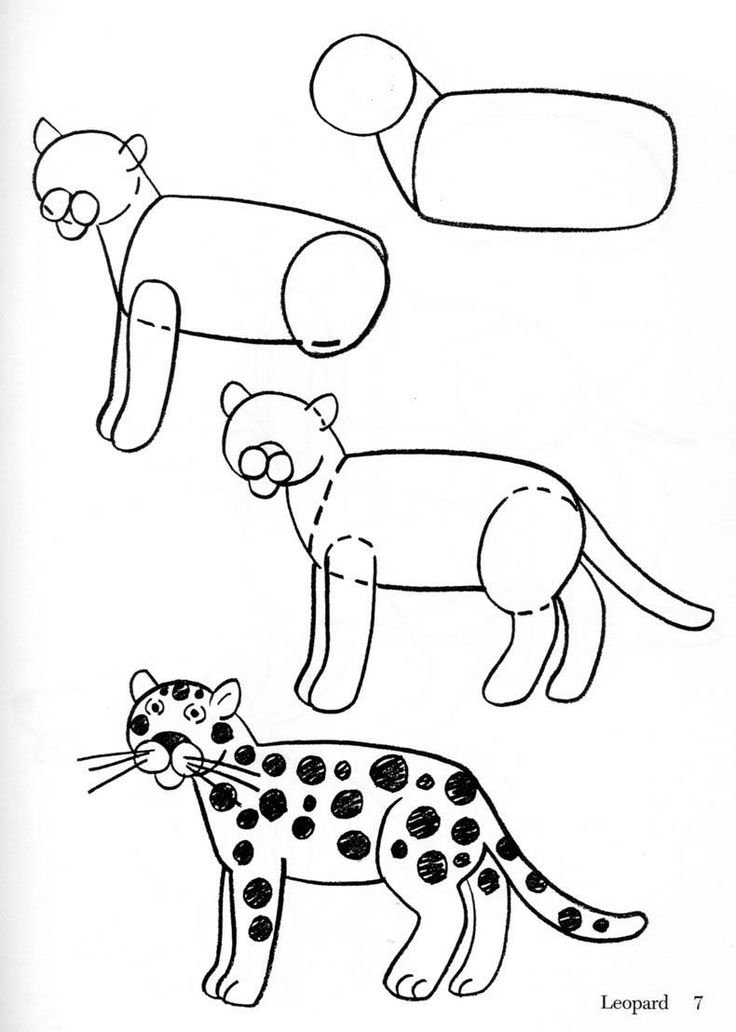 Coloriage d'un léopard dans un décor naturel