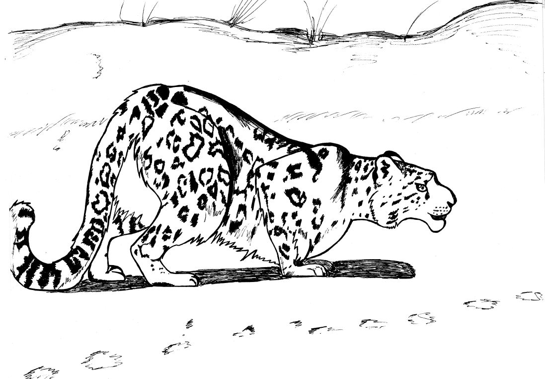 Coloriage d'un léopard dans un environnement naturel