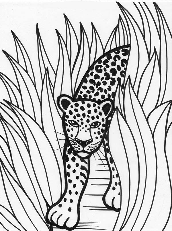Coloriage d'un léopard majestueux dans son habitat naturel