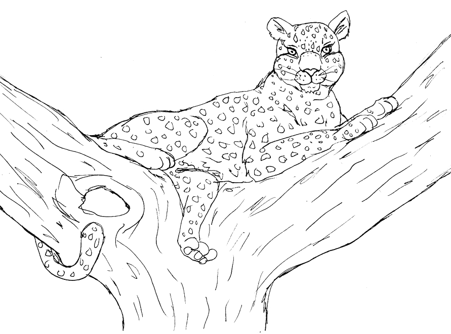 Coloriage d’un léopard majestueux sur fond de feuillage