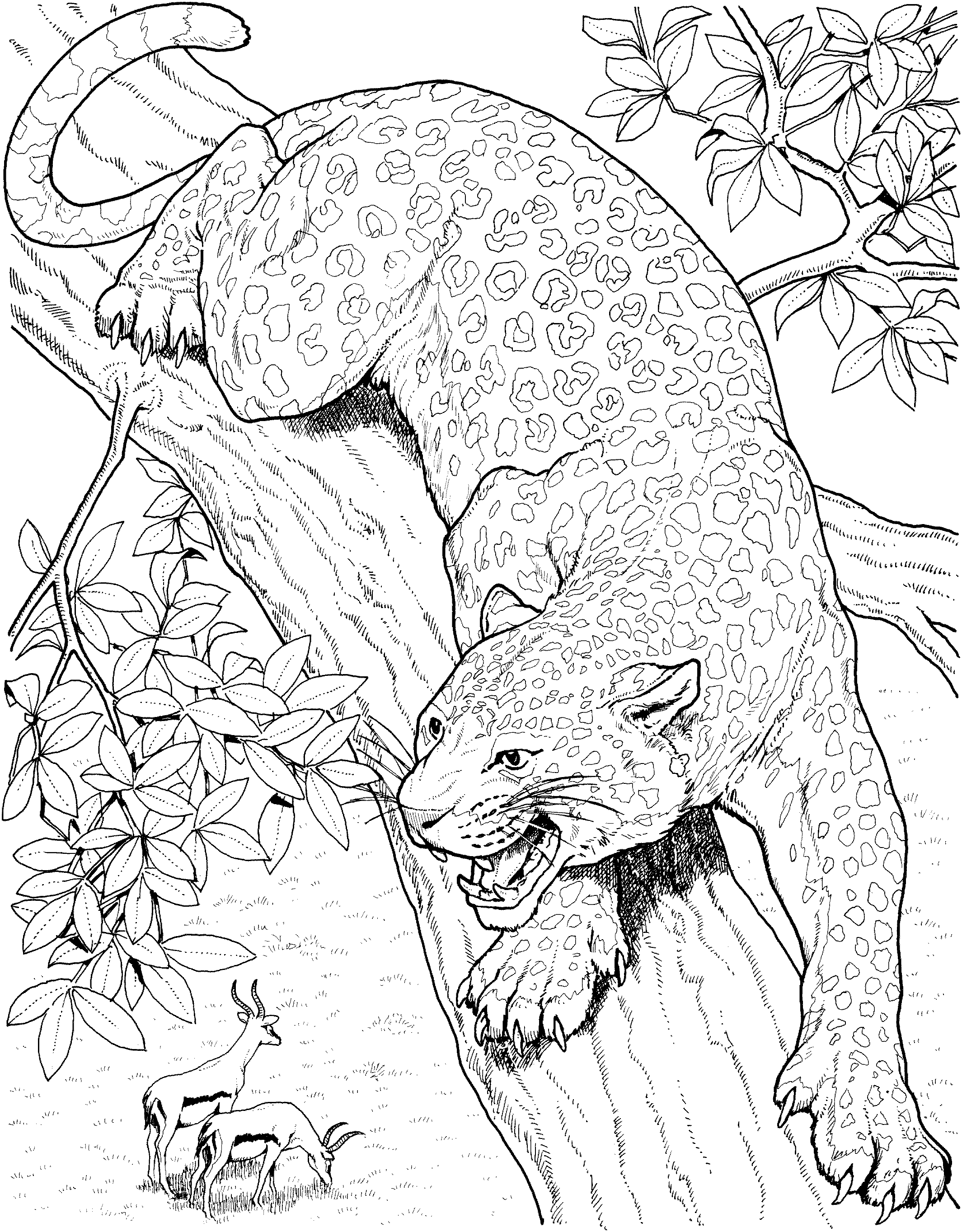 Coloriage d’un léopard en pleine course à travers la savane