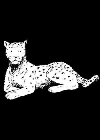 Coloriage d'un léopard dans un environnement naturel
