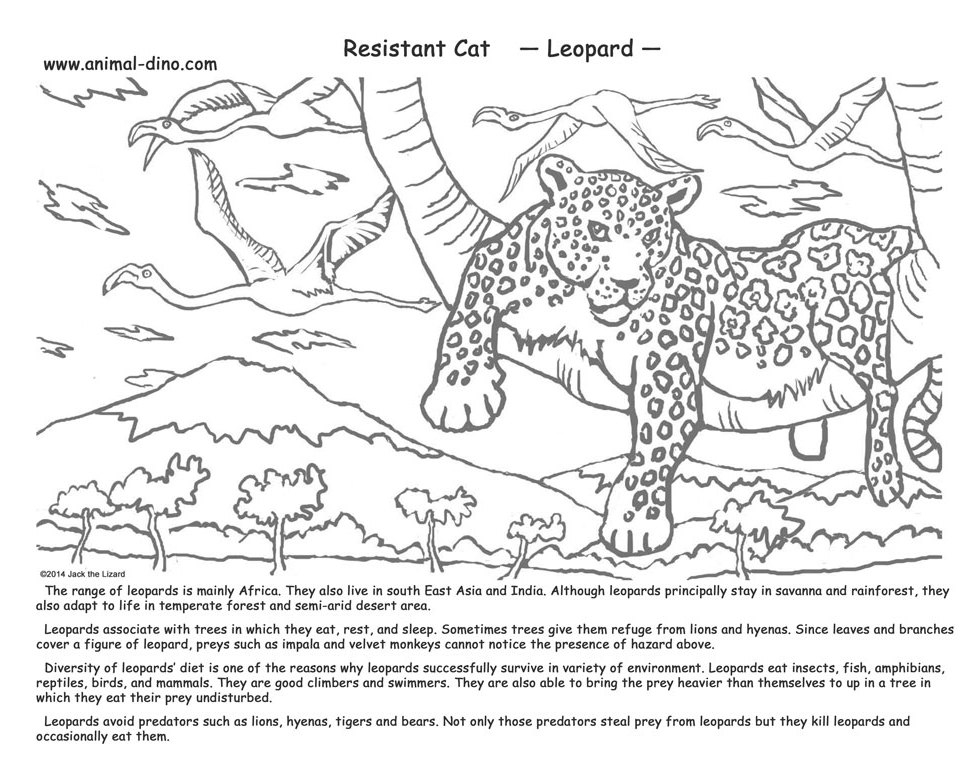 Coloriage d'un léopard dans un cadre naturel