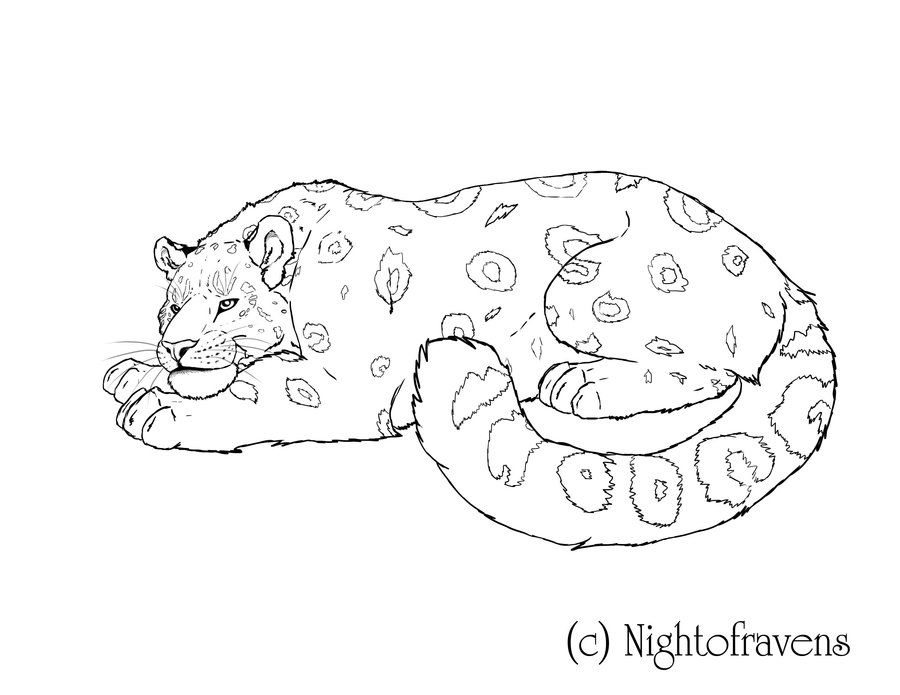 Coloriage d'un léopard en pleine détente sur un rocher