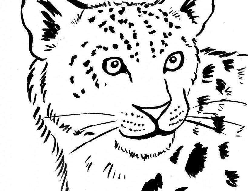 Coloriage d'un léopard en position paisible sur un arbre