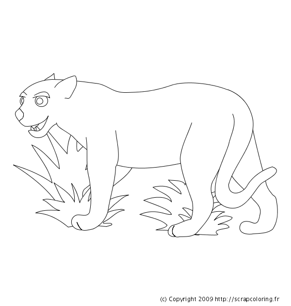 Coloriage d'un léopard dans un environnement naturel