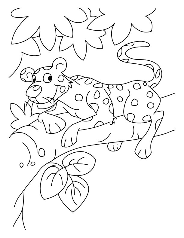 Coloriage d'un léopard majestueux dans son habitat naturel