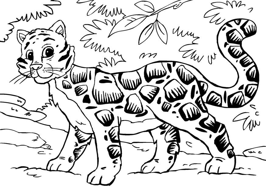 Coloriage d'un léopard sur fond de feuillage