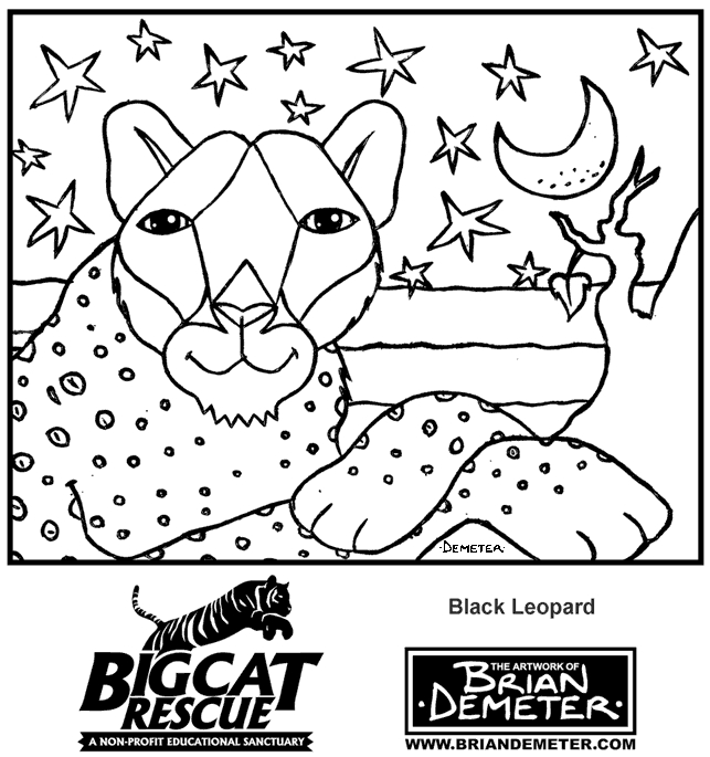 Coloriage d'un léopard dans un environnement naturel