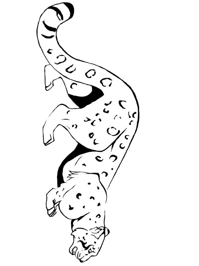 Coloriage d'un léopard sur un fond stylisé