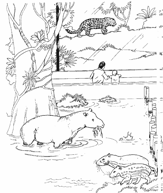 Coloriage d'un léopard majestueux dans un environnement naturel