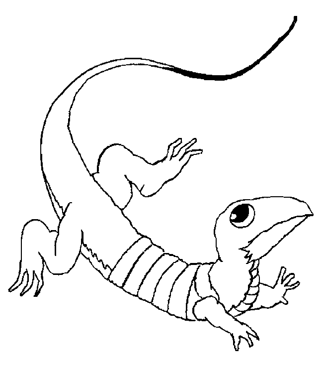 Coloriage de lézards sur une branche avec feuillage
