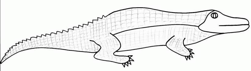 Coloriage de lézards sur un fond naturel