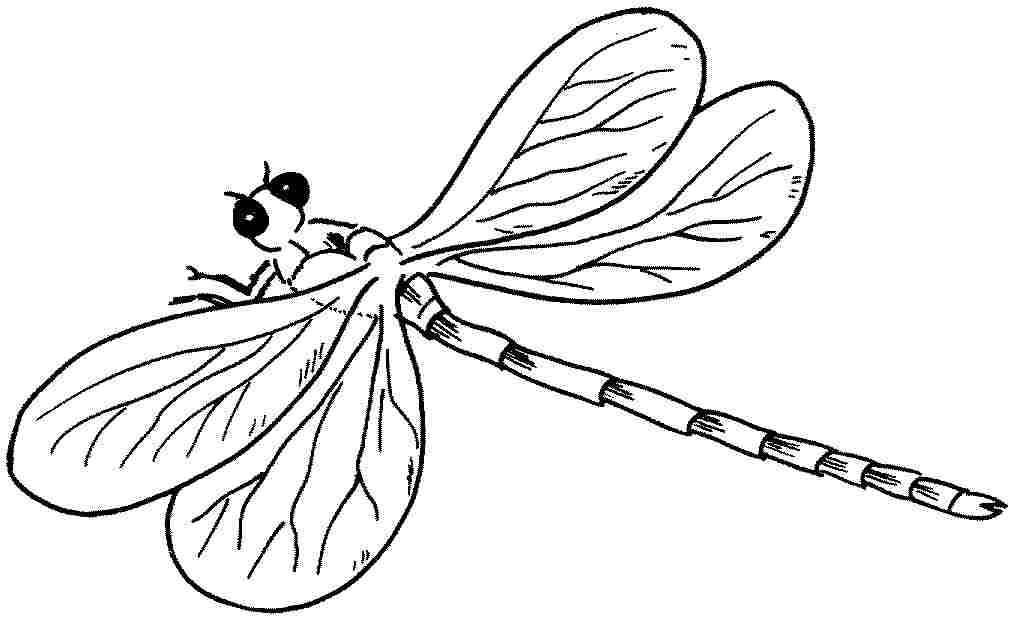 Libellule en plein vol avec des motifs délicats