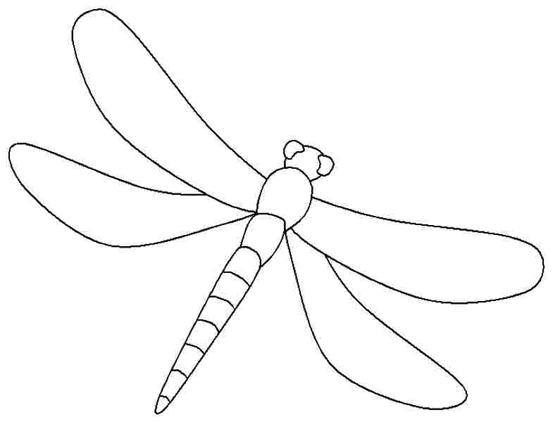 Libellule posée sur une fleur dans un jardin