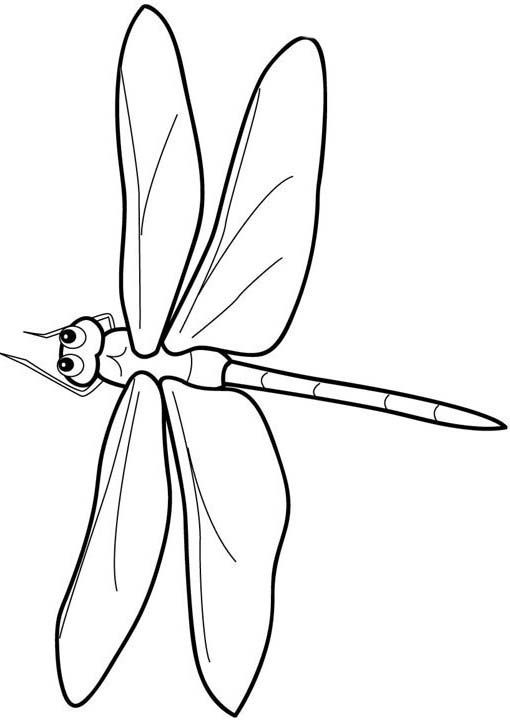Coloriage d'une libellule élégante sur fond floral