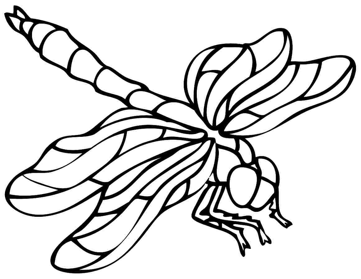 Coloriage d'une libellule en plein vol