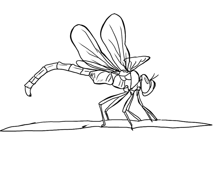 Libellule posée sur une fleur au cœur d'un jardin