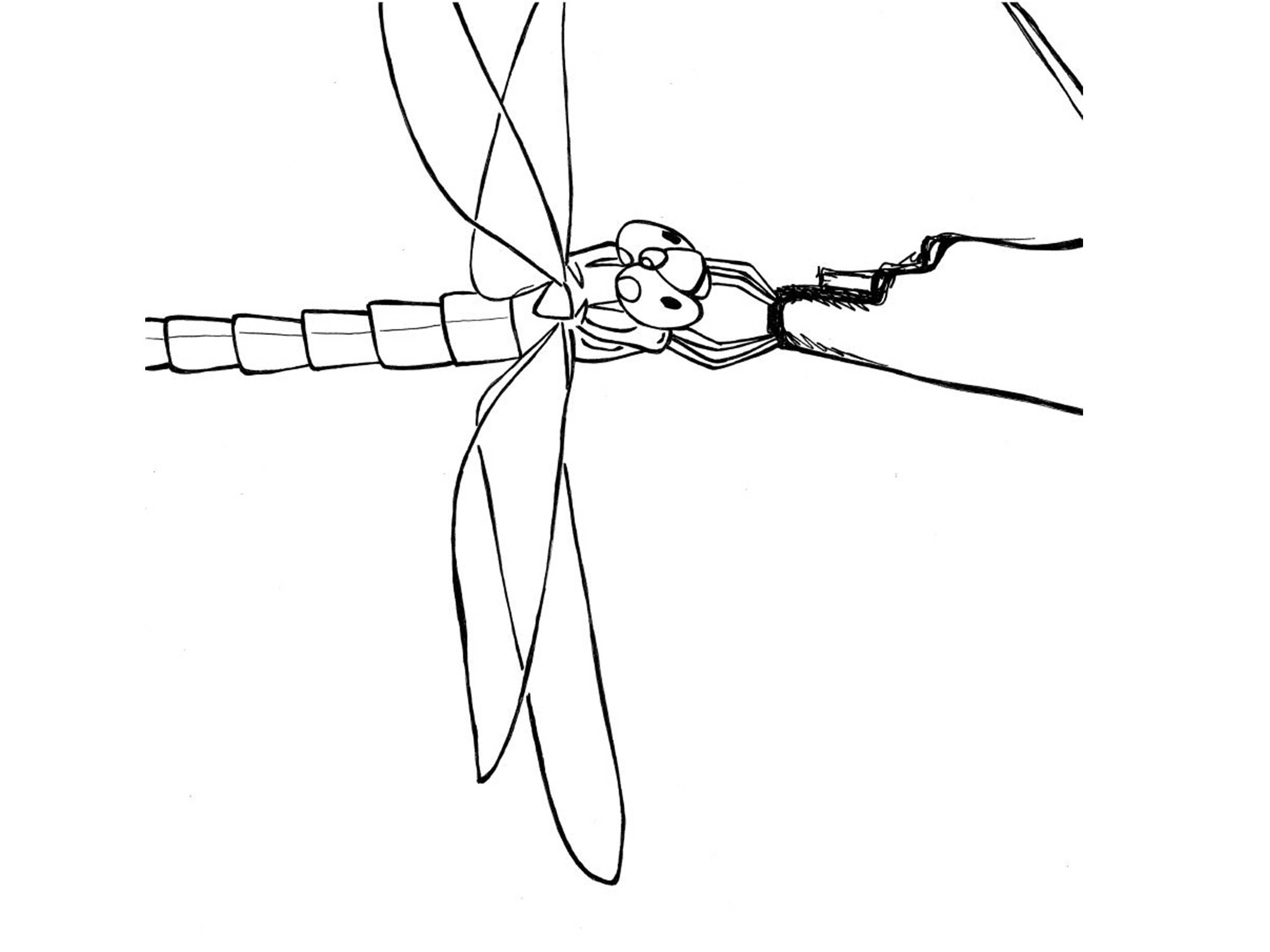 Coloriage de libellule posée sur une fleur avec un décor aquatique