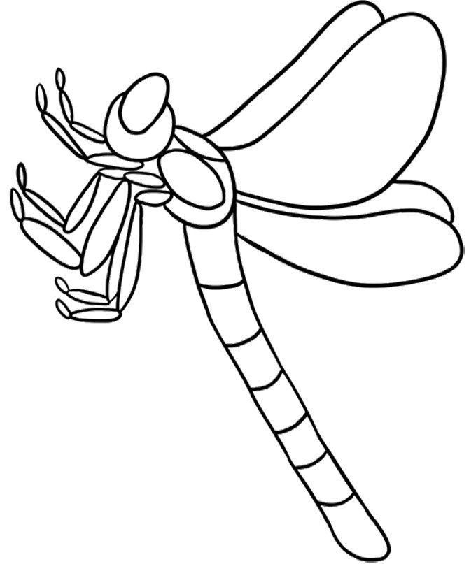 Libellule sur une feuille avec des détails floraux