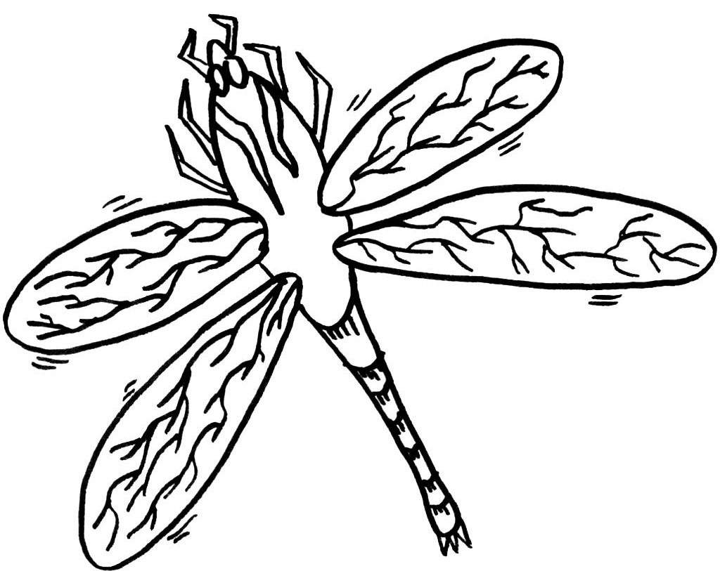 Coloriage d'une libellule délicate en vol au-dessus d'une fleur