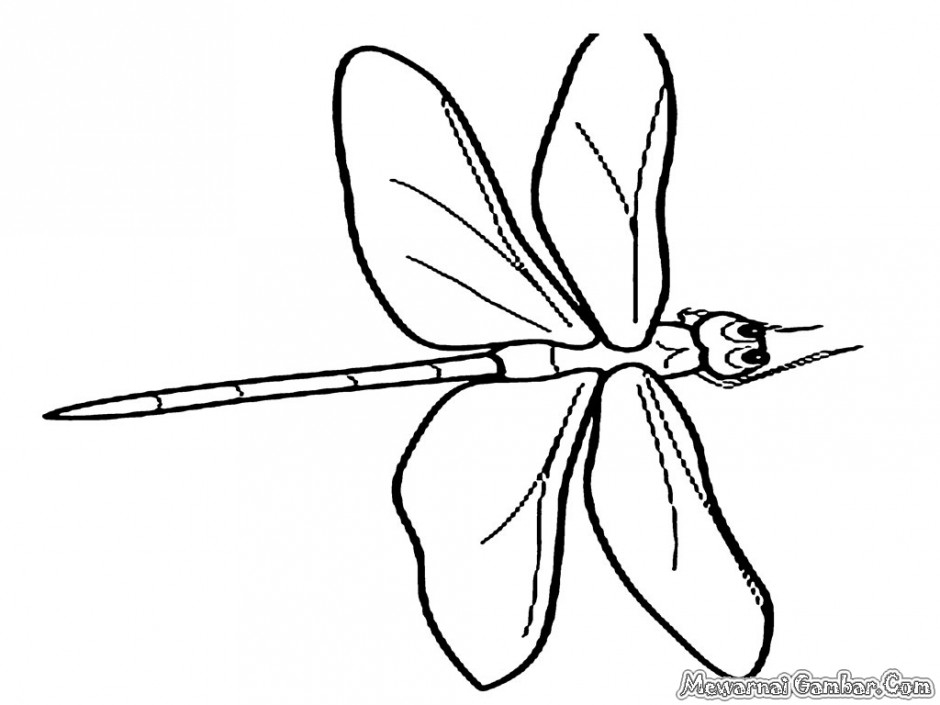 Coloriage d'une libellule posée sur une feuille