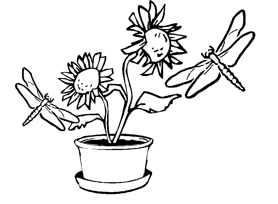 Coloriage d'une libellule se reposant sur une feuille
