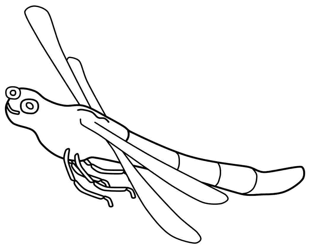 Coloriage d'une libellule sur une feuille avec des détails floraux
