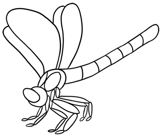 Coloriage d'une libellule sur un fond naturel