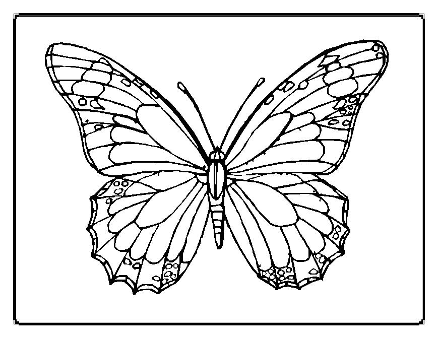 Coloriage d'une libellule sur une tige de roseau au bord de l'eau