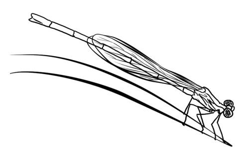 Coloriage d'une libellule posée sur une fleur