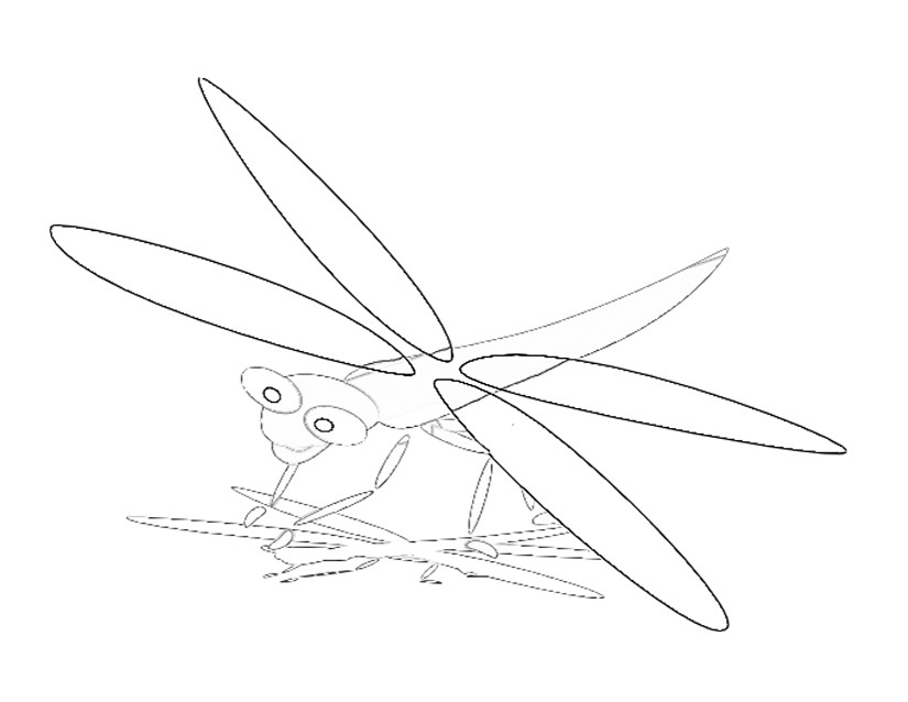 Libellule posée sur une fleur dans un jardin
