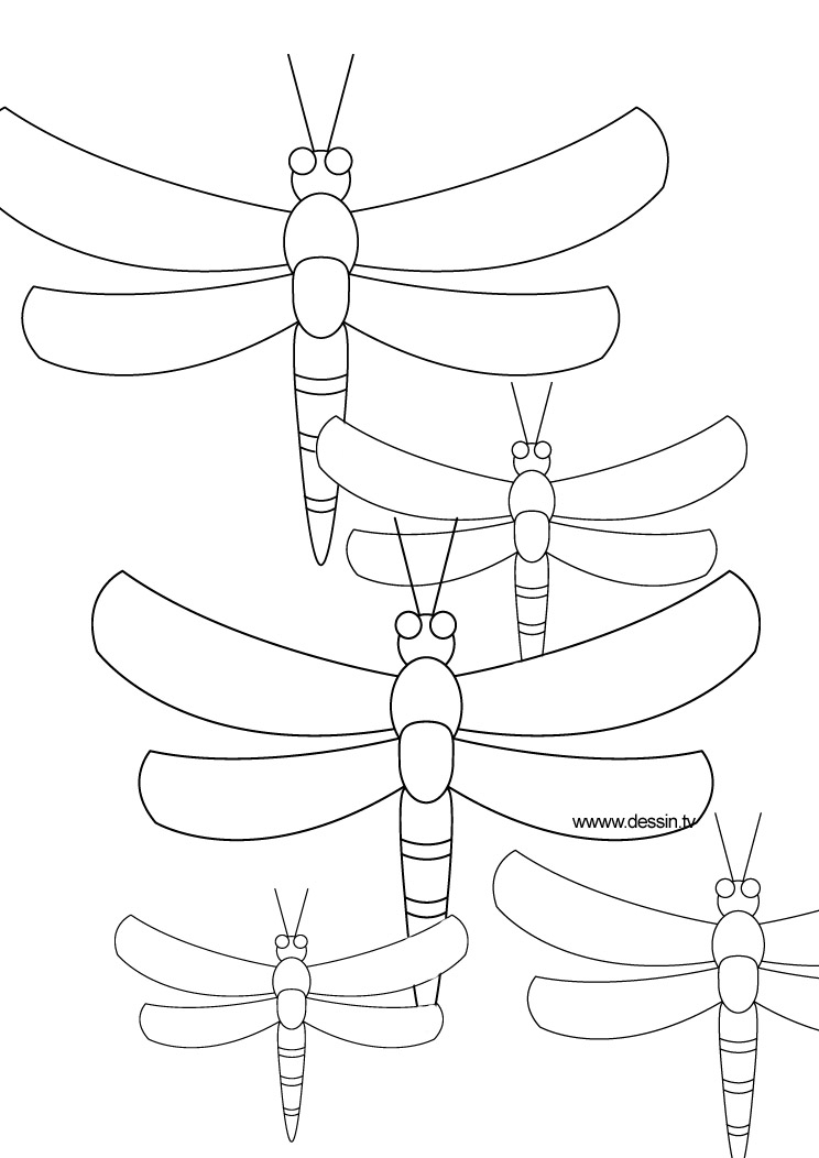Coloriage d'une libellule en vol au-dessus d'une fleur