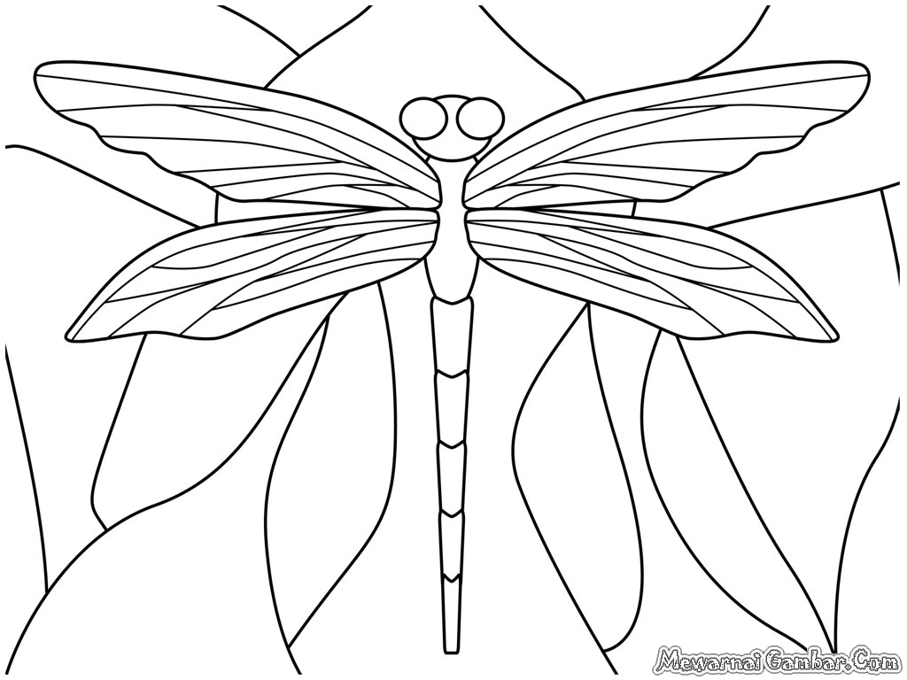 Coloriage d'une libellule sur fond floral