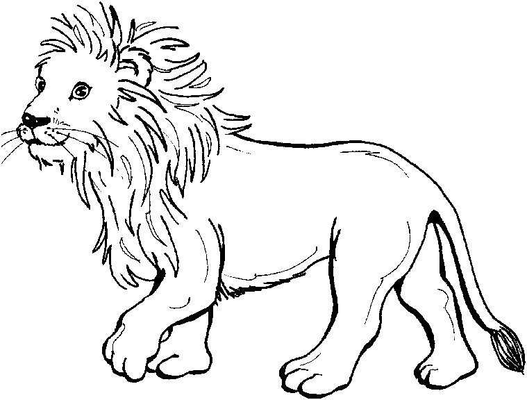 Coloriage d'un lion majestueux dans un décor naturel