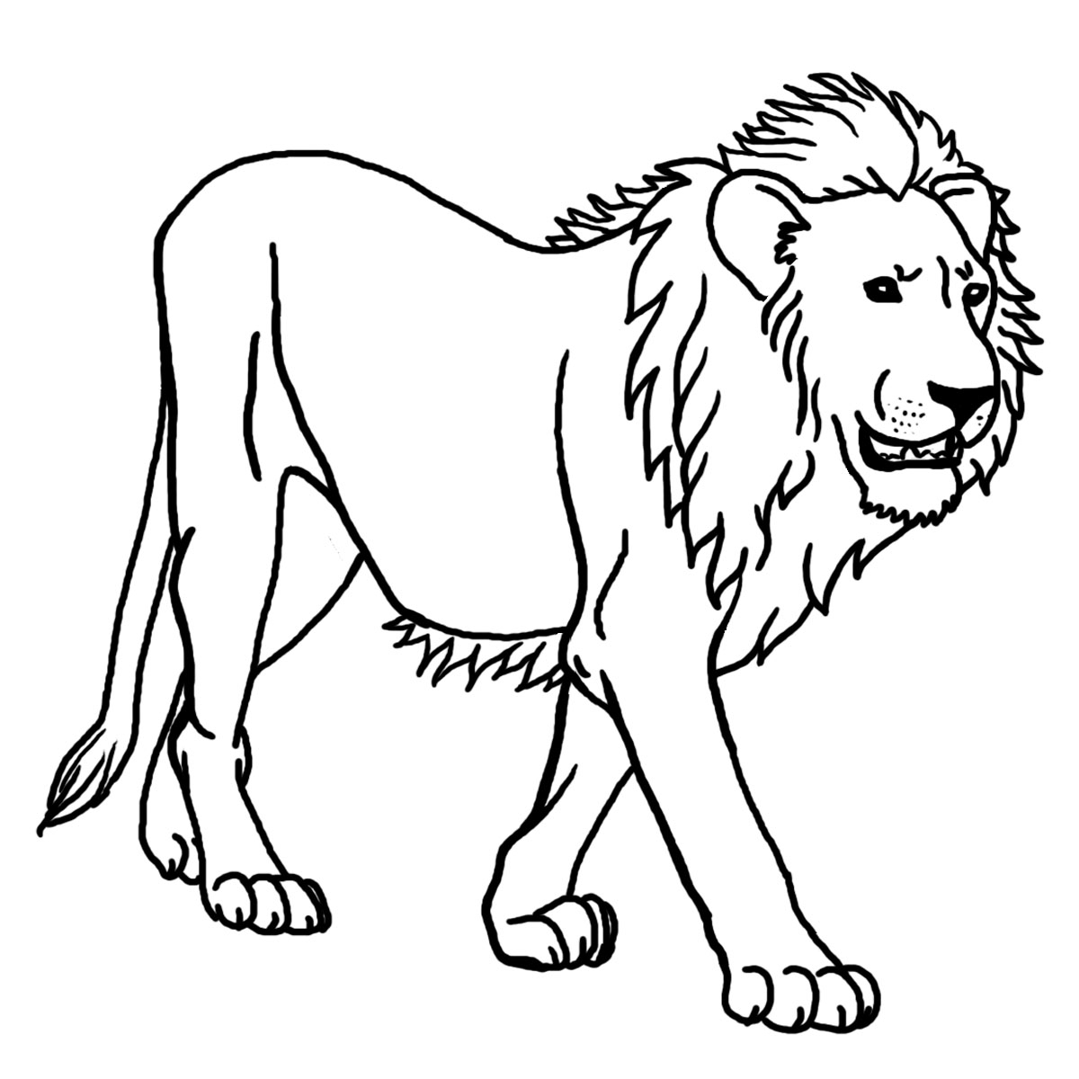 Coloriage d'un lion majestueux dans une posture fière