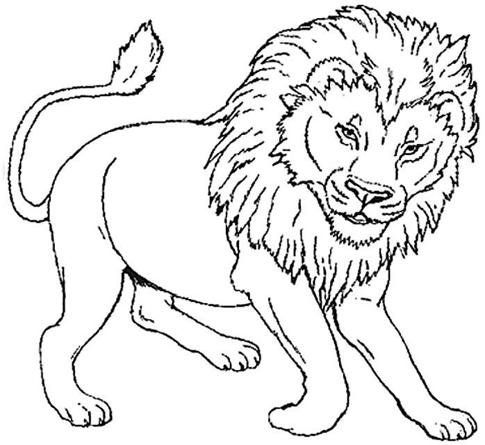 Coloriage d'un lion majestueux dans un style réaliste