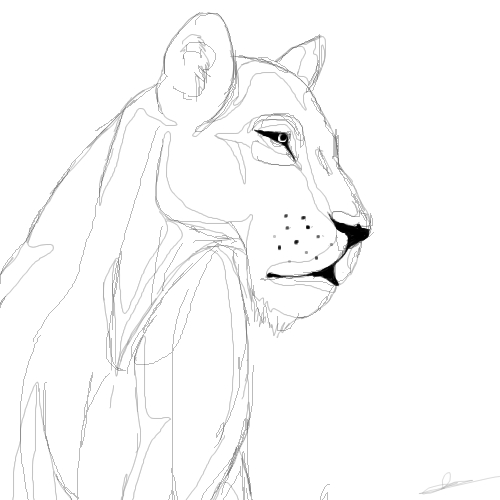 Coloriage d'un lion majestueux au regard perçant dans son environnement naturel