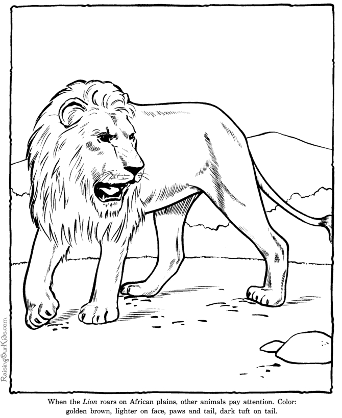 Un lion majestueux en pleine savane