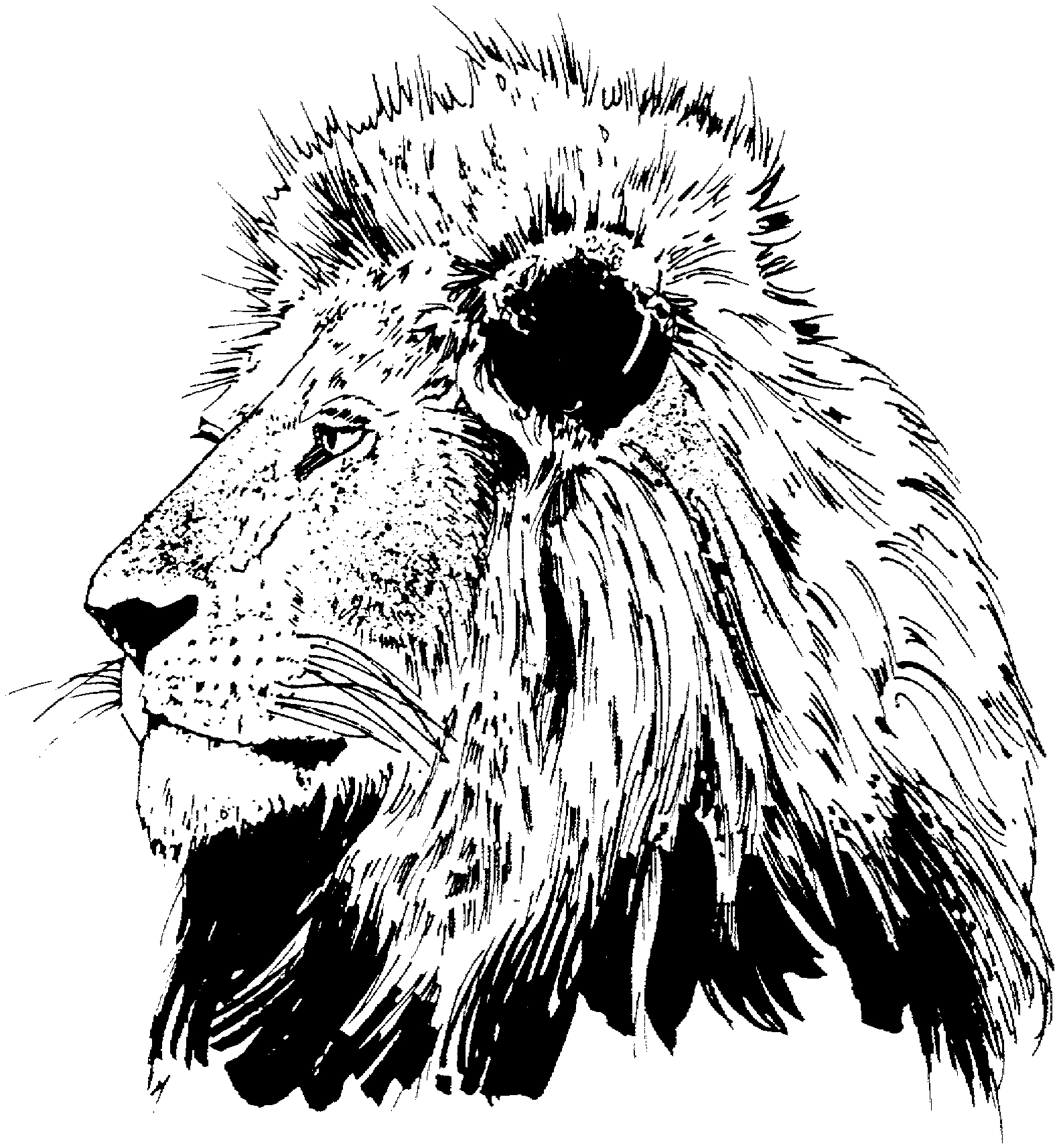 Un lion majestueux se reposant dans la savane