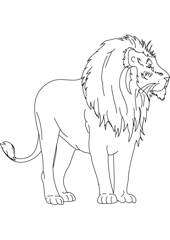 Coloriage d'un lion majestueux dans un décor naturel