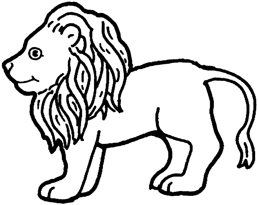 Un lion majestueux dans son paysage naturel