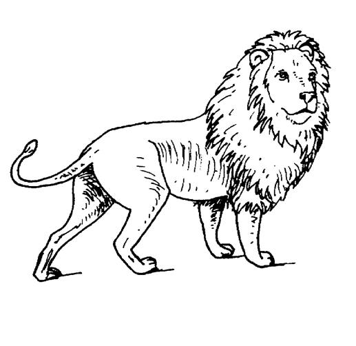 Un lion majestueux se reposant dans la savane