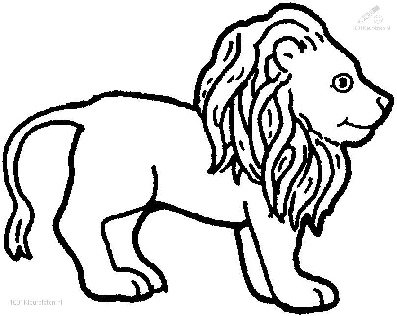 Coloriage d'un lion majestueux dans une posture fière