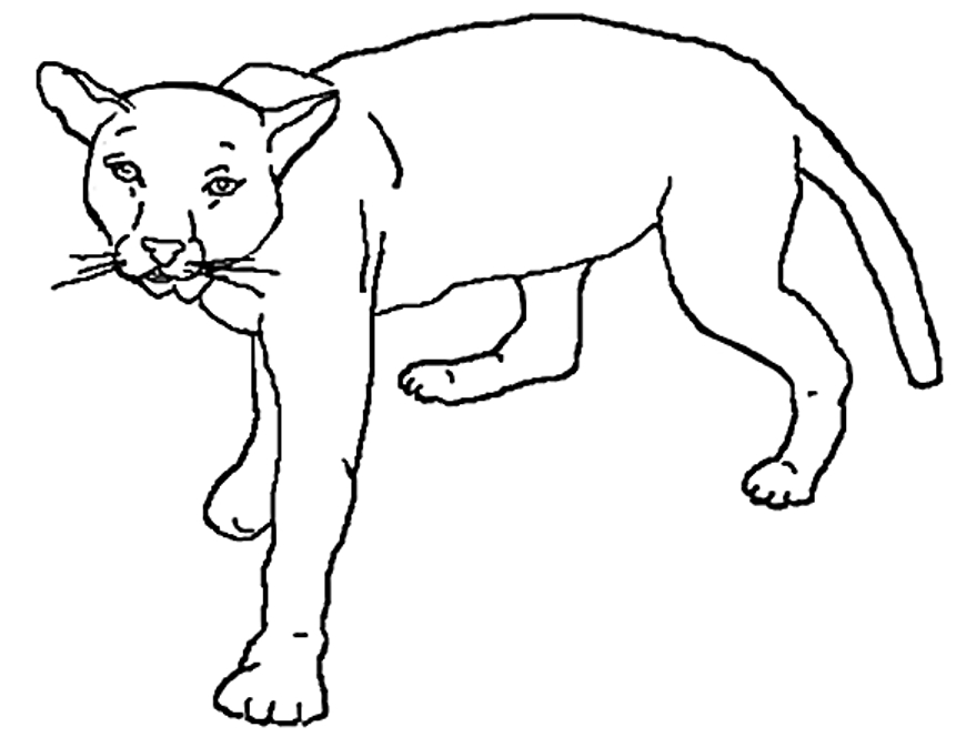 Coloriage d'un lion majestueux dans un paysage naturel