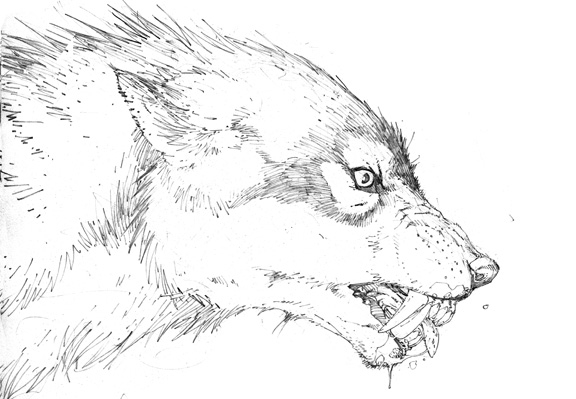 Un loup-garou hurlant à la pleine lune dans une forêt nocturne