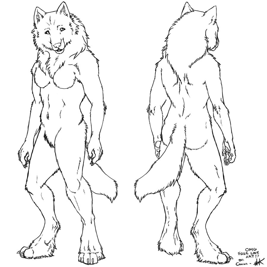 Coloriage d'un loup-garou dans une forêt nocturne